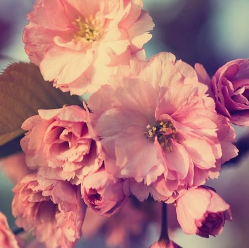 辨材须待七年期 《三字职务》