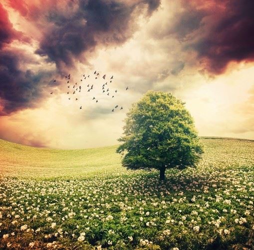 满招损　《猜二字常言》