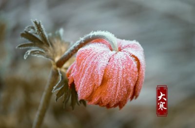 “人们说你富贵_哪知道你曾历经贫寒” 《首都》