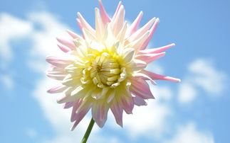 马齿徙增《猜一体育词语》