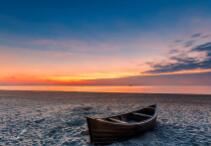 金色辫子长又长,不分男女盘头上,不用梳来不用洗,只等晴天晒太阳《打一个常用物品》