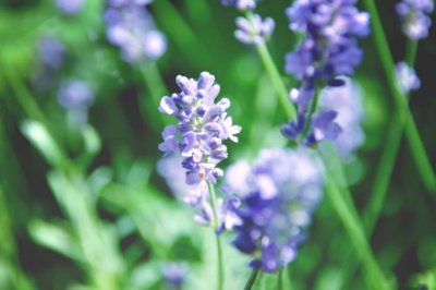 夜半残月临清池 《十画单字》