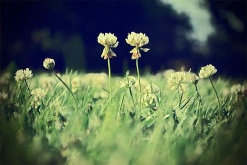 猜谜语题目:元旦出世《打一个字》