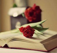 雁札几番期指教《猜一数学词语》