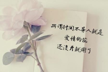 滑溜溜_光亮亮_眼睛生在屁股上《猜一日常用品》