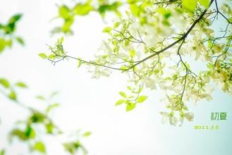 我家在哪里 《数学名词》