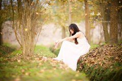 缠头百万醉青 《骊珠》