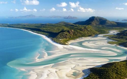 向前转过山有颗树 《八画单字》