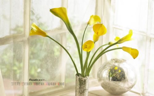 深居水火尚征苗 《十二画单字》