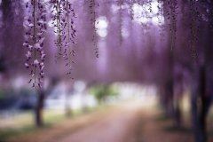 鸳鸯拆散《猜一数学词语》