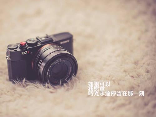 猜谜语题目:狗年金币《打一个字》