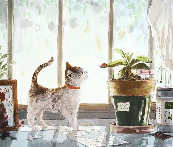 个个上前猜什么《猜一体育词语》