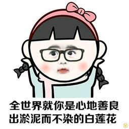爱的自白 《军事名词》