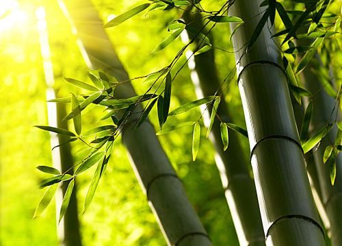 未喝能予知_味美心怡悦 《骊珠》