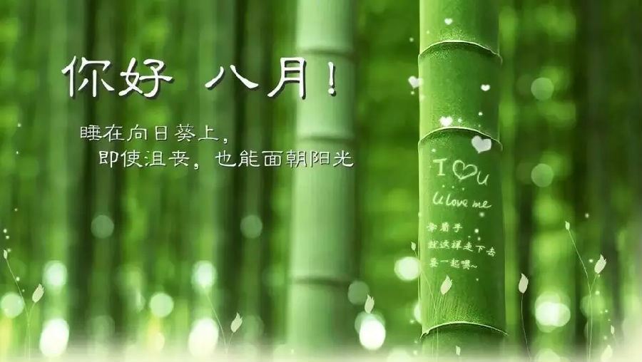 一片读书琅琅响 《环保词语一》