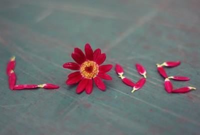 大耳朵_噘嘴巴_吃起饭来巴达巴_细尾巴_胖嘟嘟_吃罢就睡呼噜噜-《猜一动物》