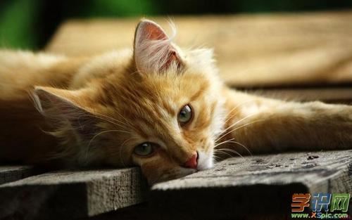 猜谜语题目:发扬大协作精神《打一个地名》