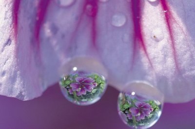 新月林间照风中砂石飞　《猜二字灯谜术语》
