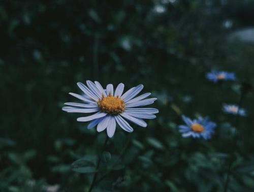 脚系芒履走南泥 《上海路名》
