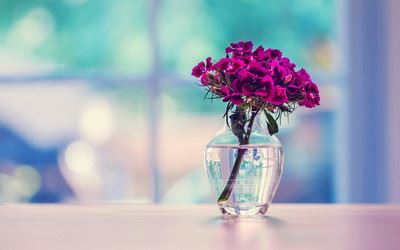 桃花逐水流 《环保词语一》