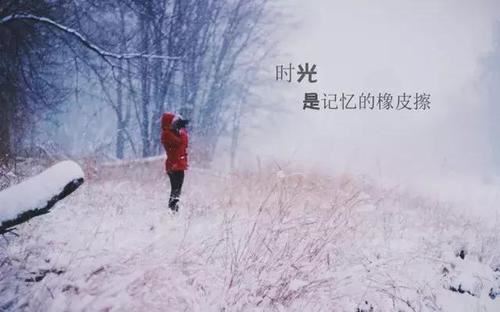 猜谜语题目:他年我若为青帝《打一个植物学》