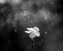 老翁有所乐 《喜剧》