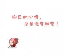 我们共同走过 《单位简称二》