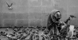 小白花_飞满天_下到地上象白面_下到水里看不见《猜一自然现象》