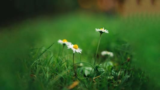 “万古千秋共呜咽” 《乐器》