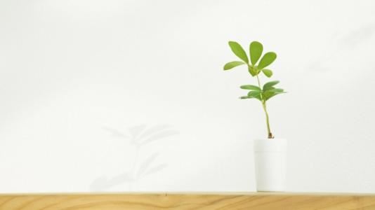 中原大大变了样 《《说唐》人物》