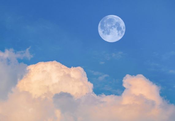 空心苗_叶儿长_挺直腰杆一两丈_老时头发白苍苍_光长穗子不打粮《猜一植物》