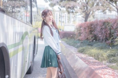叶元帅上到半山 《金庸小说人物》