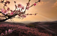 十的负九次方 《十三画单字》