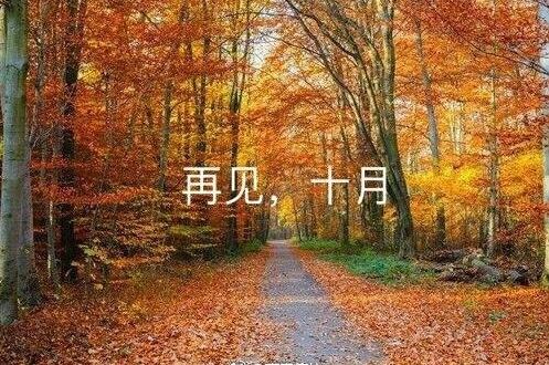 托胎试管 《聊目》