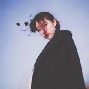 比二十亿多一点 《歌手》