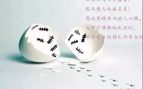 周老虎薄老虎相继倒台 《综艺栏目一》