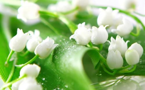 “犹厌言兵” 《3字环保新词》