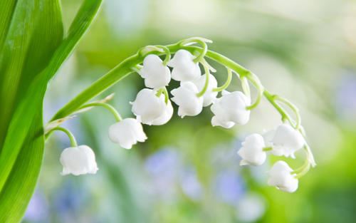 月残映中土_眉月挂日上 《十一画单字》