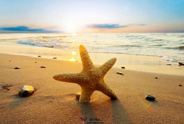 水滴石穿 《网络电脑词语二》