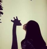 相打长伏弱_《猜一数学词语》