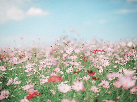 唯见女子分胜负 《经济学家》