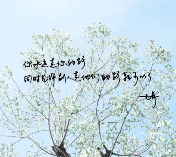 树影参差入画中《猜一字谜》