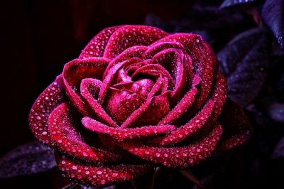 抽空去看内掌柜 《骊珠》