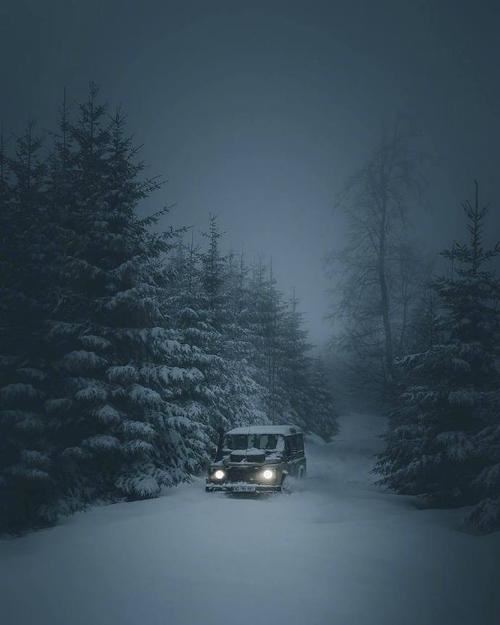 禁止在此暴露孤影新 《5字谜吧用语》