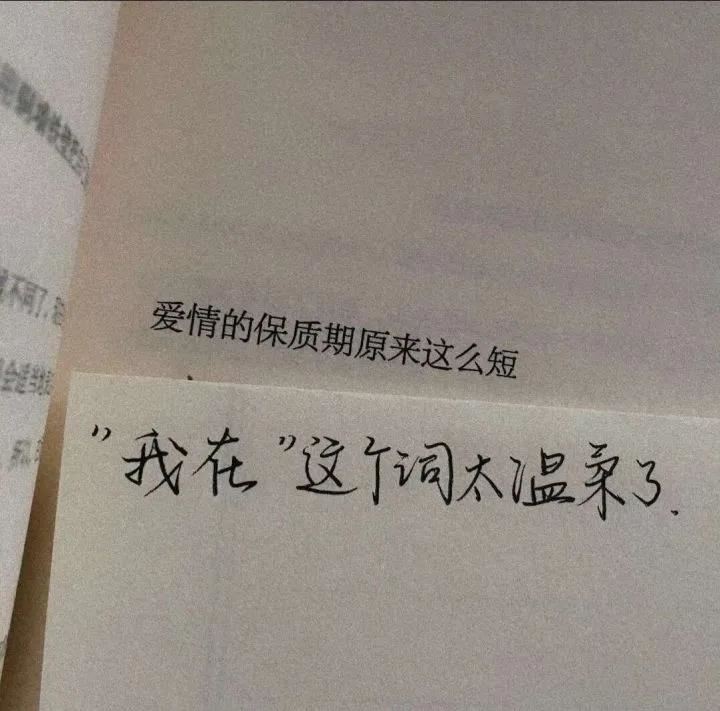枚　《猜成语》