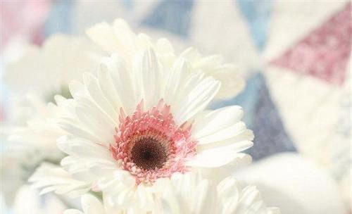 猜谜语题目:青梅煮酒论英雄《打一首歌曲名》