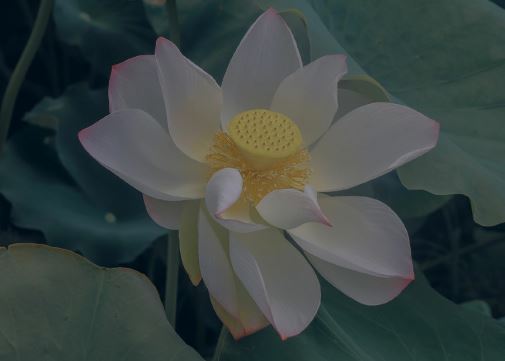 落后二十一分　《猜四川地名一,底二字》