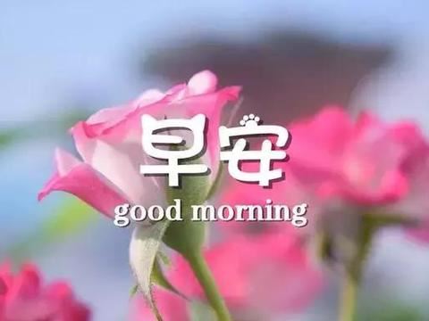 还要把船开出去 《四画单字》