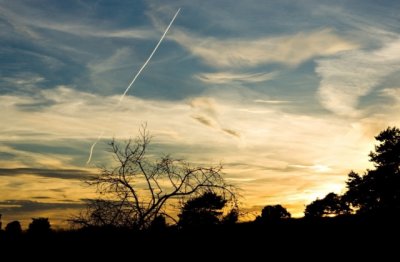 猜谜语题目:男宾止步《打一个字》