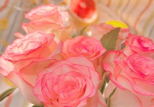 猜谜语题目:逐渐繁荣《打一个人名》